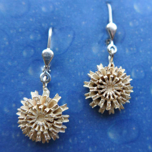 Ohrringe Silber Samen gesägt Ohrhänger