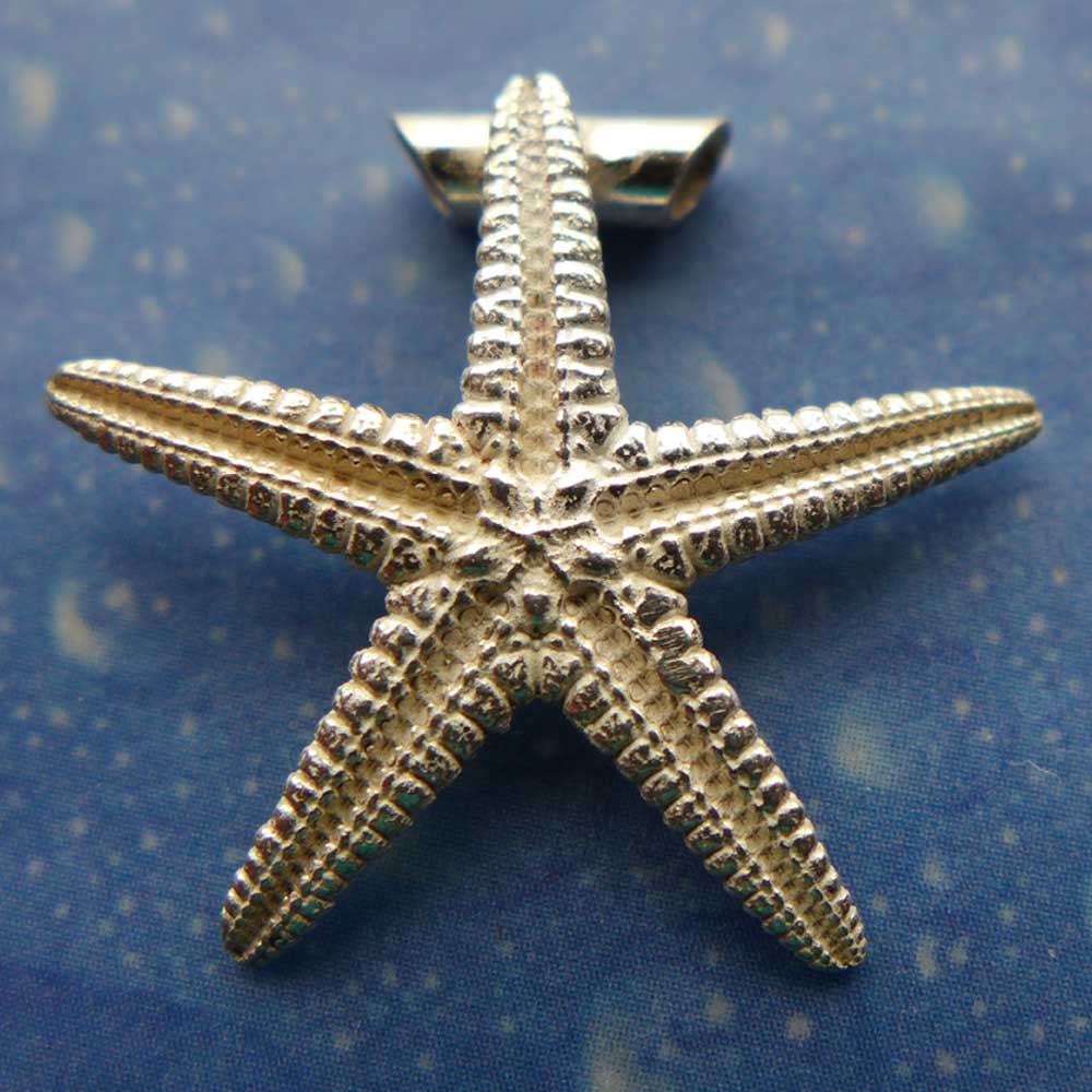 Seestern Silber Ketten Anhänger