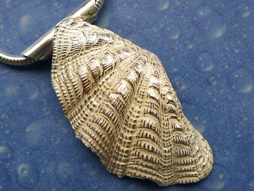 Tridacna Schmuck Silber Anhänger
