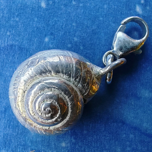 Schnecken Kollektion Silberanhänger