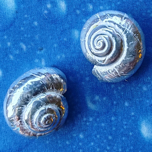 Maritime Ohrstecker Schnecken Kollektion