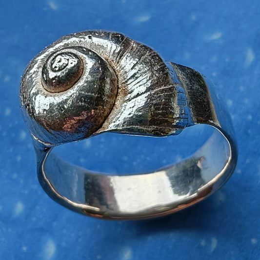 Silberring Meeres Schnecke Design