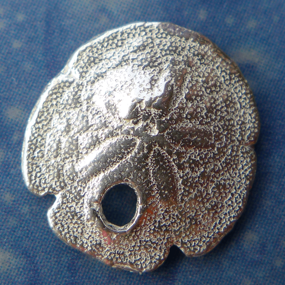 Meeresbrise Schmuck Sanddollar Stecker xxxs