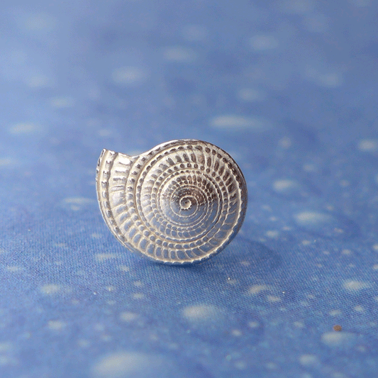 See Silberschmuck Ohrring Stecker Kreiselschnecke