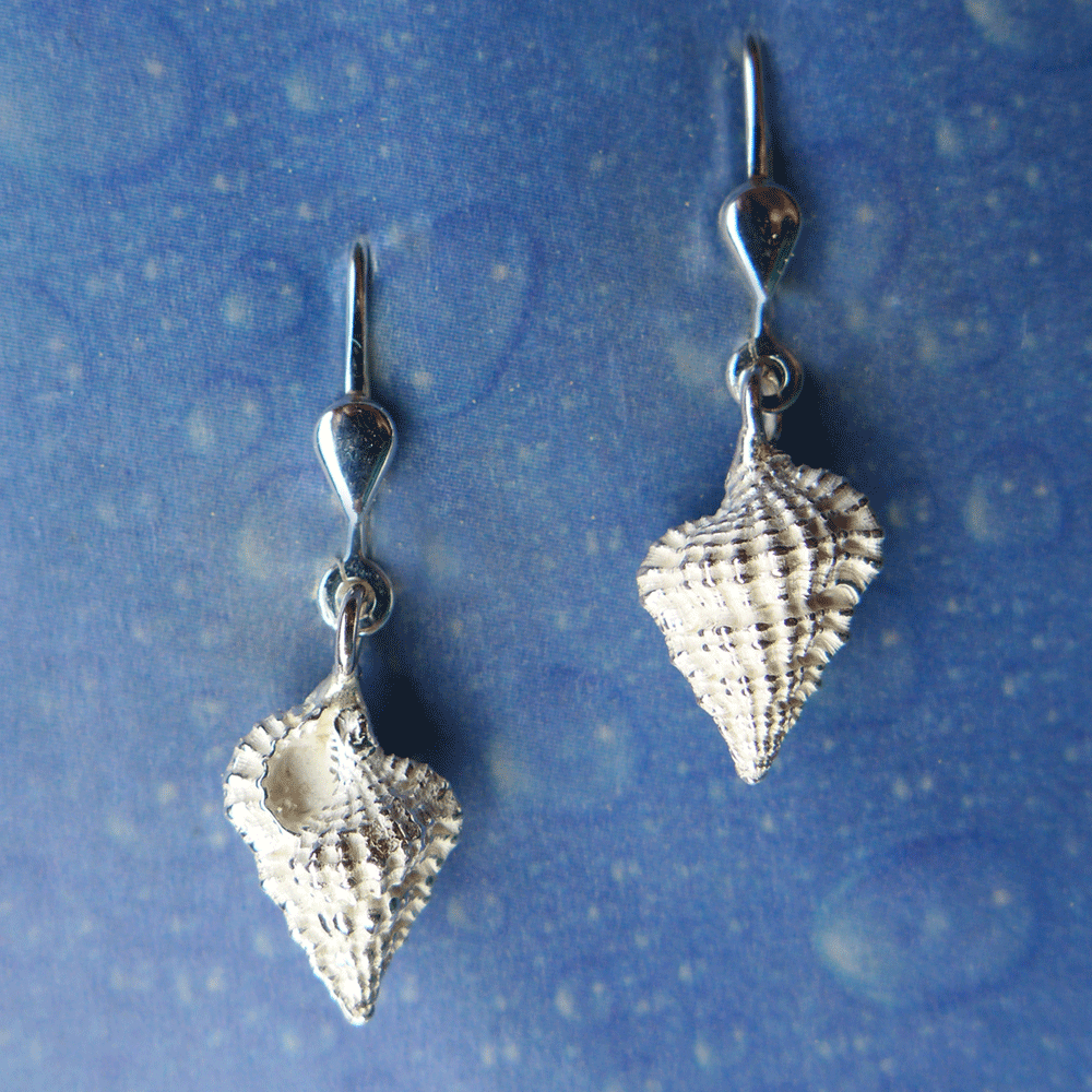 Sommerschmuck Meer Tritonshorn