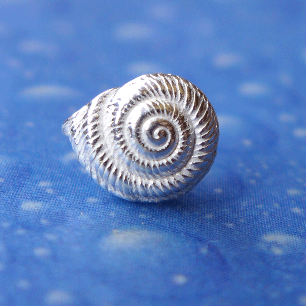 Sommer Sonne Strand Ohrstecker Schnecke qu