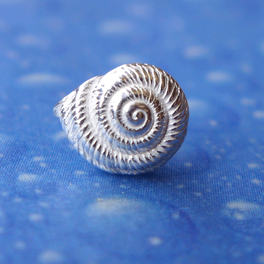 Sommer Sonne Strand Ohrstecker Schnecke qu