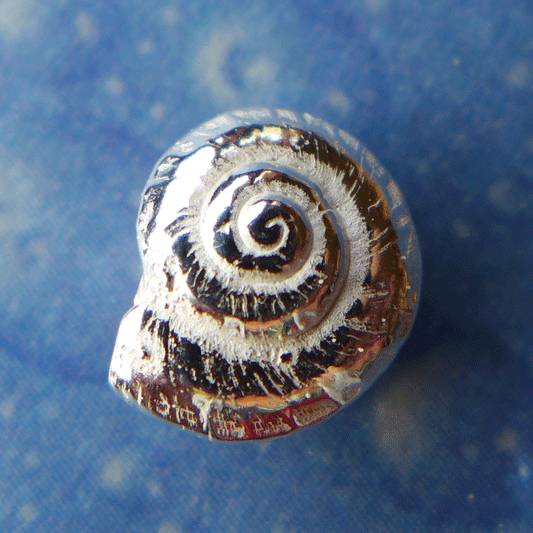 Sommerschmuck Trend Knopfschnecke Ohrstecker