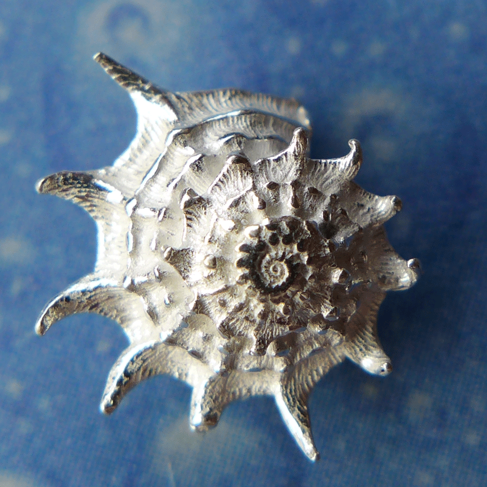 Ohrstecker Schnecke stachelige Sonne Taucherschmuck