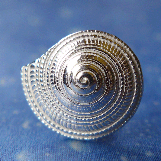 Sonne Strand Meer Schmuck Sonnenuhrschnecke