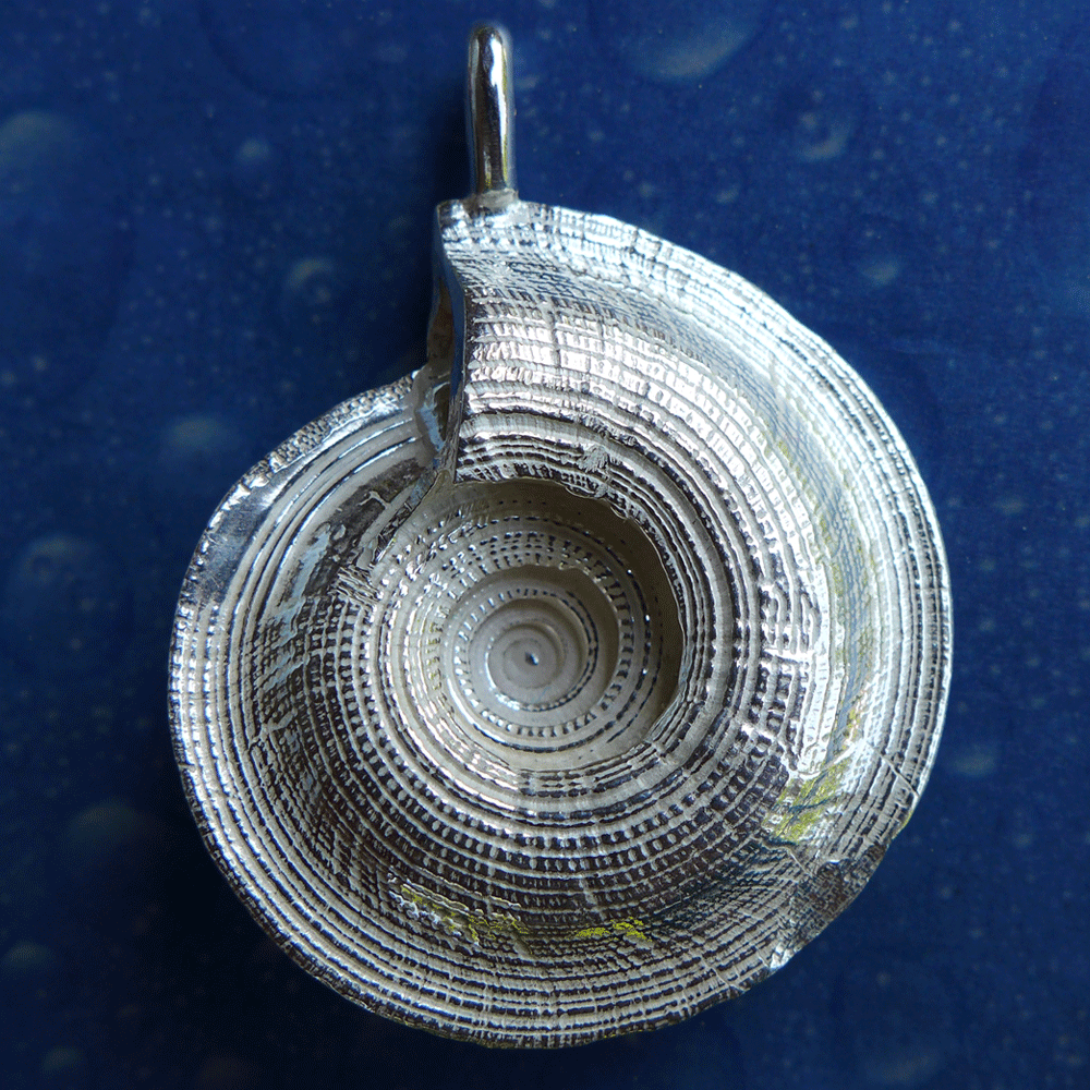 Sonnenuhrschnecke Silber Anhänger Rückseite