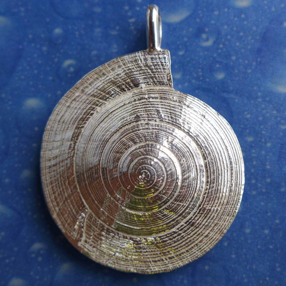 Sonnenuhrschnecke Silber Anhänger