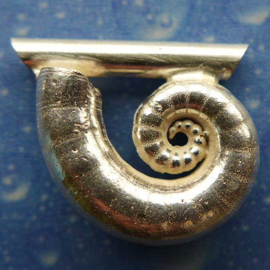 Spirula Anhänger Schmuck Silber