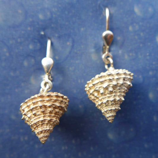 Strand Ohrringe Schnecke Schmuck