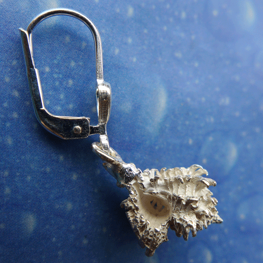 Strandgut Schmuck Silber Stachel xs