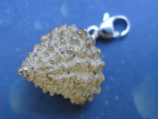 Strand Schnecke Silber Charm