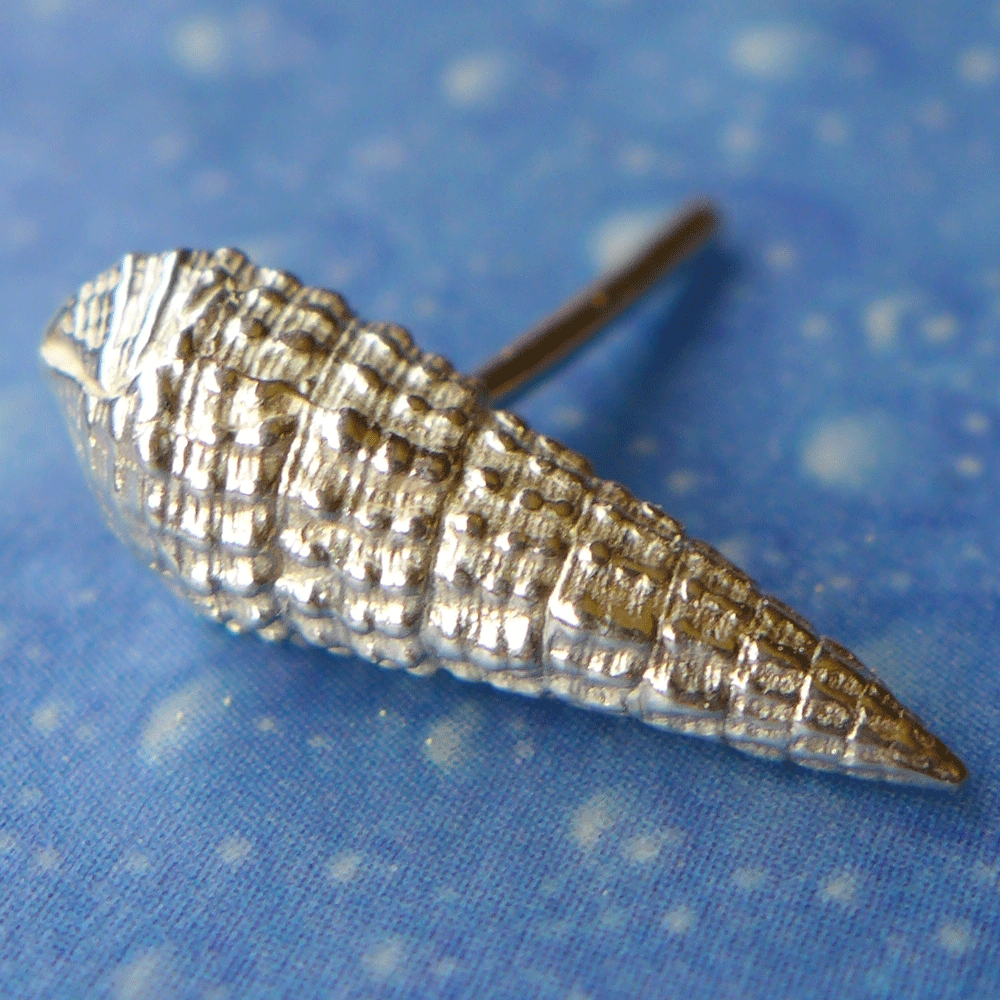 Strand Schnecke Ohrstecker Silberschmuck