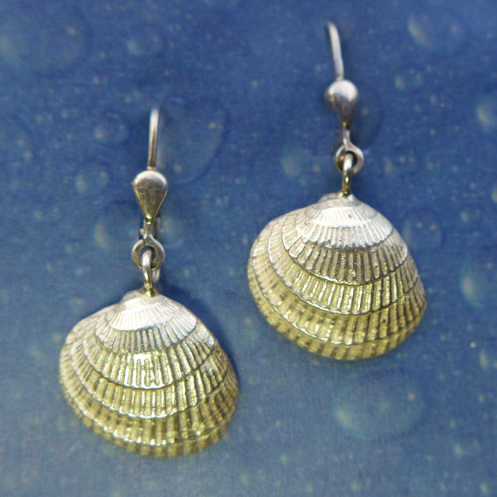 Strandgut als Ohrring Venusmuschel