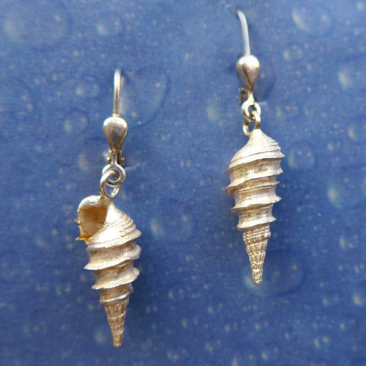 Strandgut Kollektion Ohrringe Thiaridae