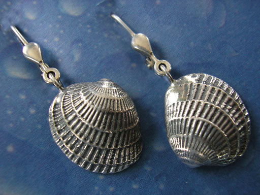 Strandgut als Ohrring Venusmuschel geschwärzt