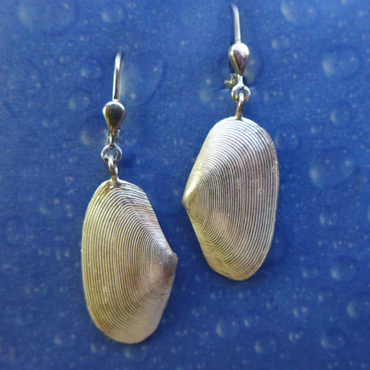 Strandgut Ohrringe Tell Muschel