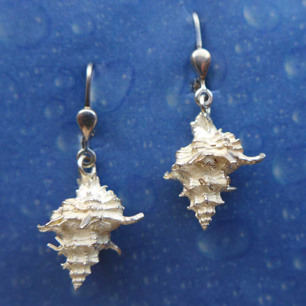 Strandgut Ohrringe Stachel Schnecke