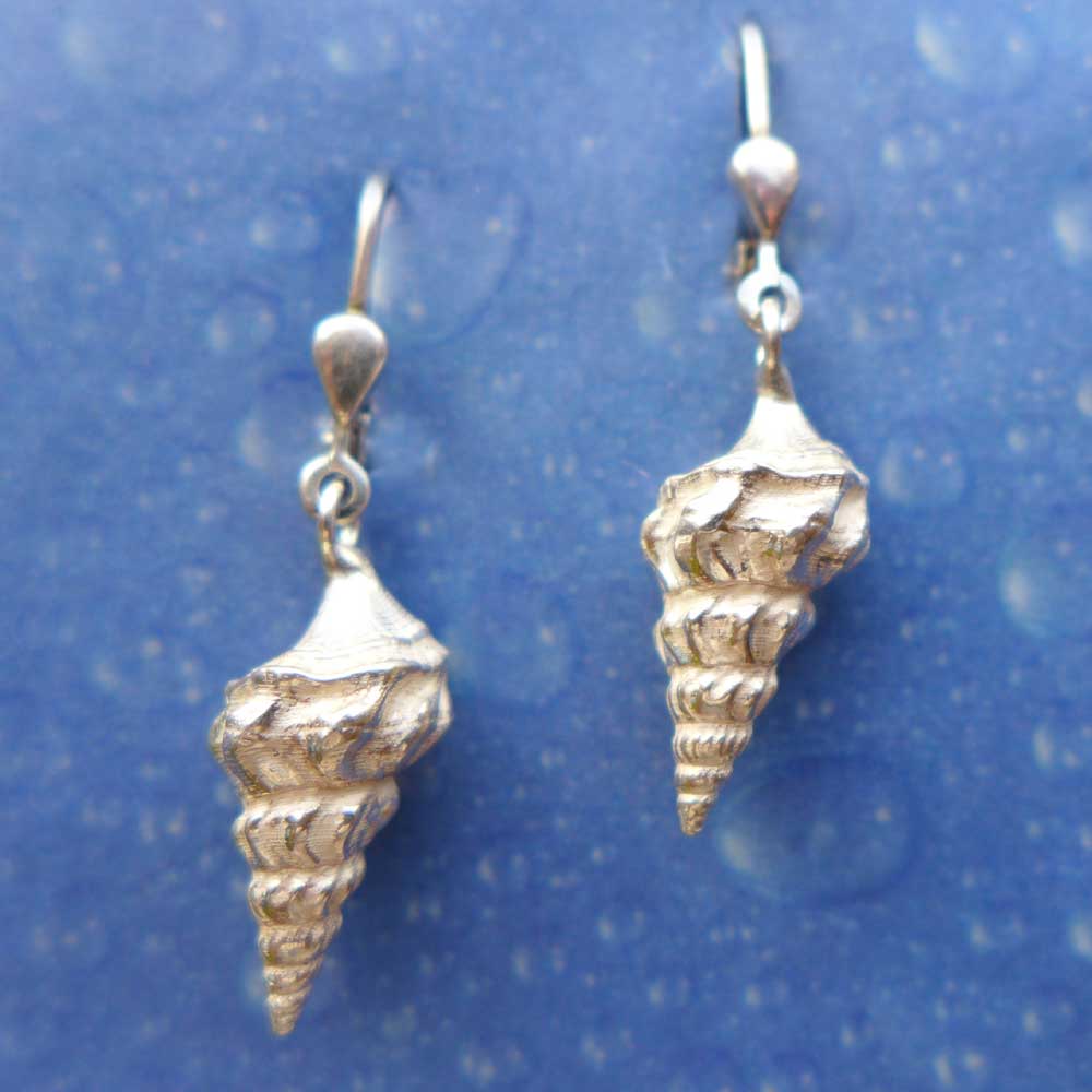 Strandgut Schmuck Ohrringe Prachthorn