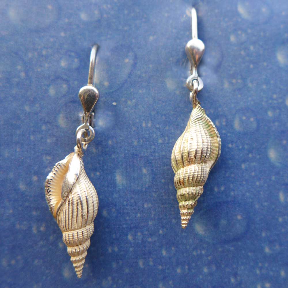 Strandgut Schmuck Ohrringe Schnabelschnecke