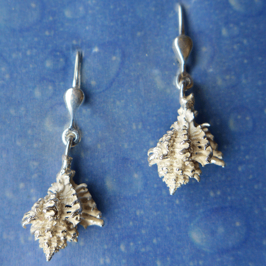 Strandgut Schnecke Silber Stachel xs