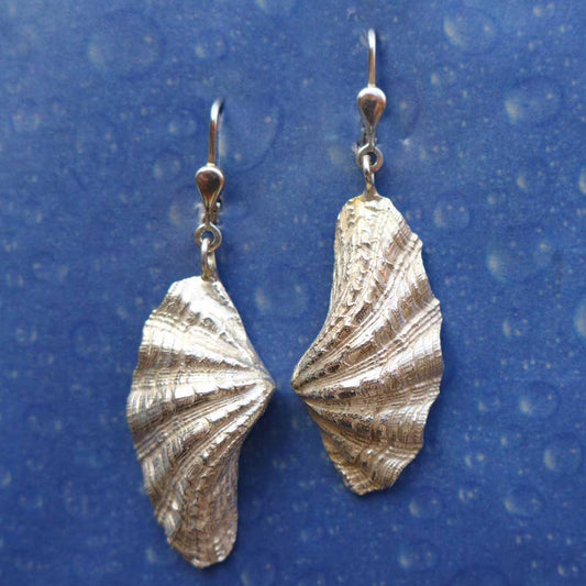 Strand Schmuck Mörder Muschel Ohrhänger