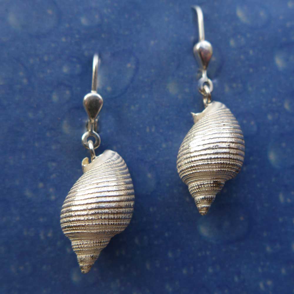 Strandschmuck Ohrhänger Helmschnecke