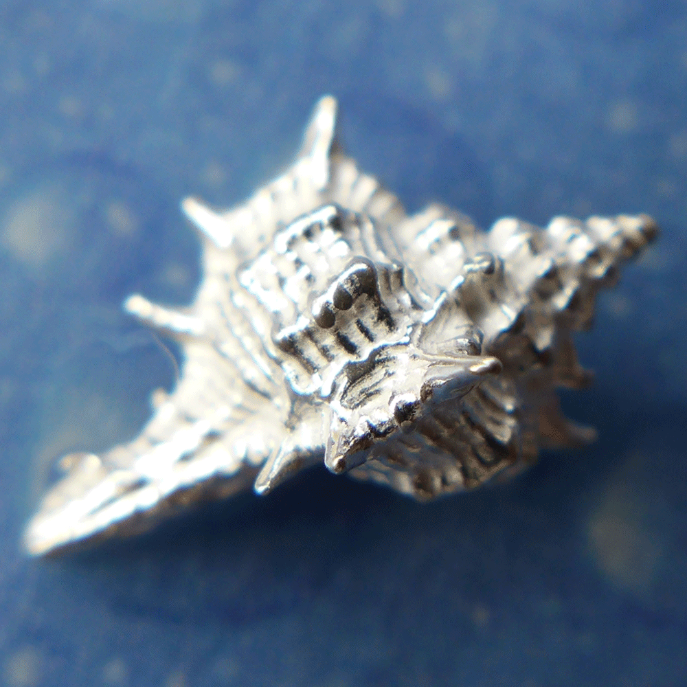 Strandschmuck Herkuleskeule Ohrstecker s