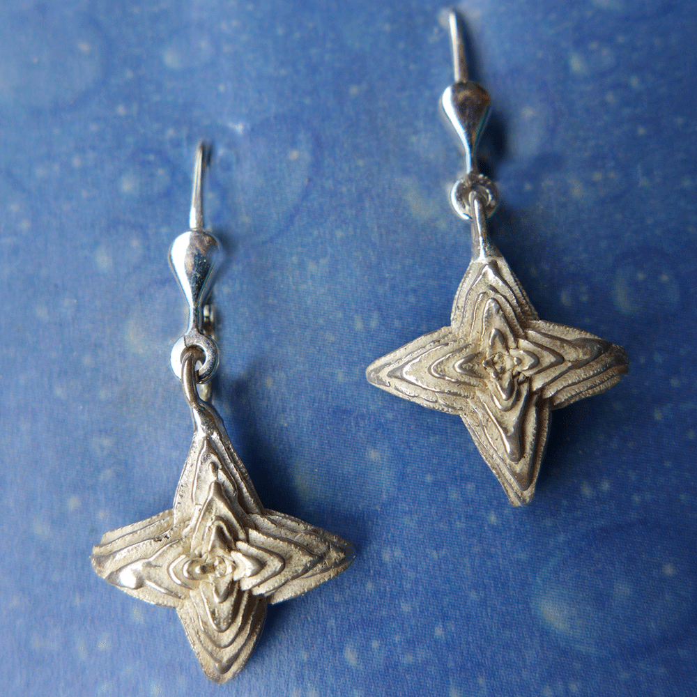 Sukkulente Ohrringe Schmuck Silber