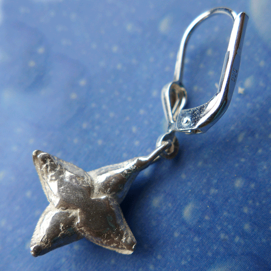 Sukkulentenschmuck Ohrringe Silber Rückseite