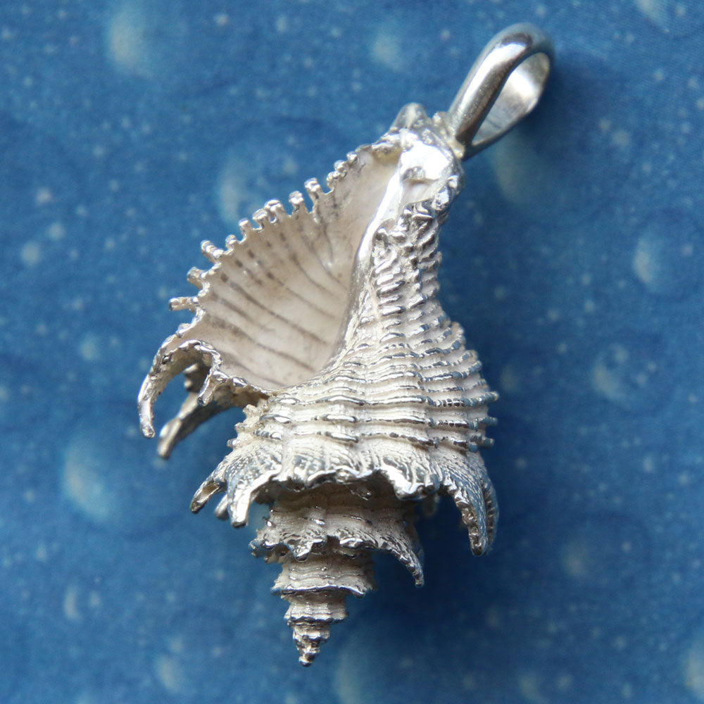 Surfer Schmuck Silber Schneckenkette Latiaxis l rundum perfekt