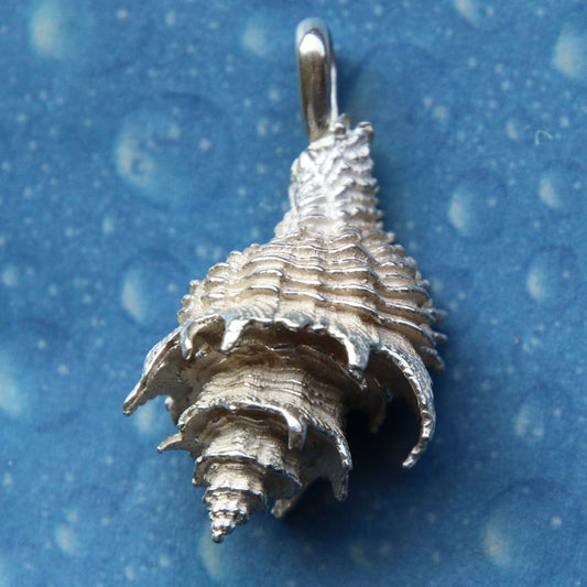 Surfer Schmuck Silber Schneckenkette Latiaxis l