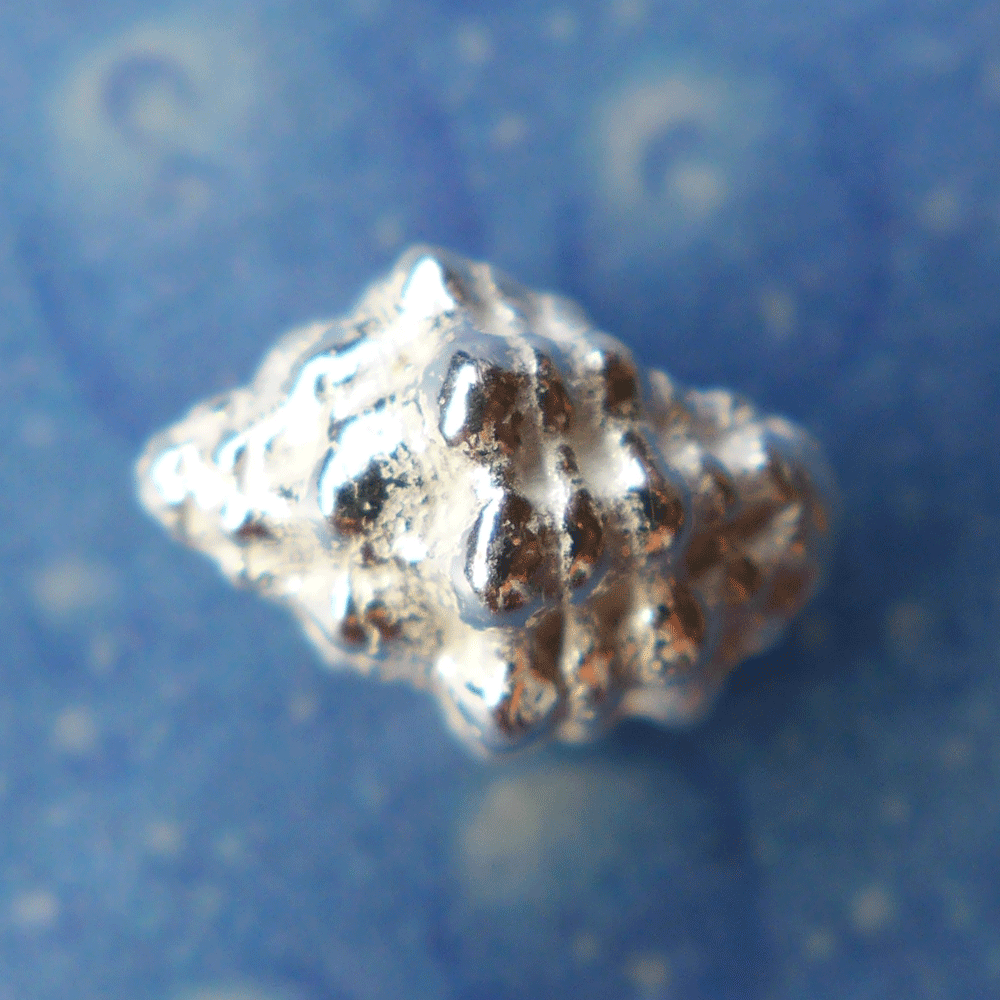 Taucher Ohrringe Stecker Schachbrett Schnecke