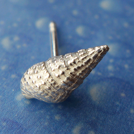 Taucher Ohrstecker Seetangschnecke