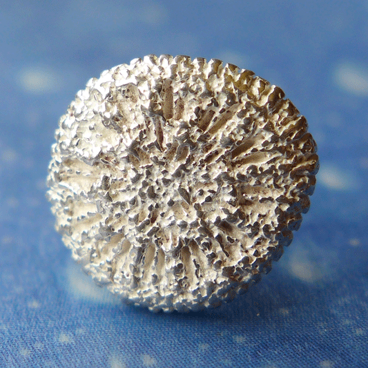 Taucher Schmuck Koralle Ohrstecker