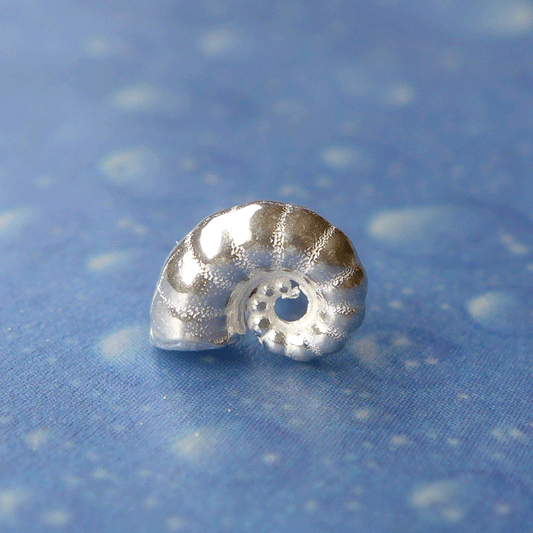 Taucher Schmuck Ohrstecker Posthorn Silber