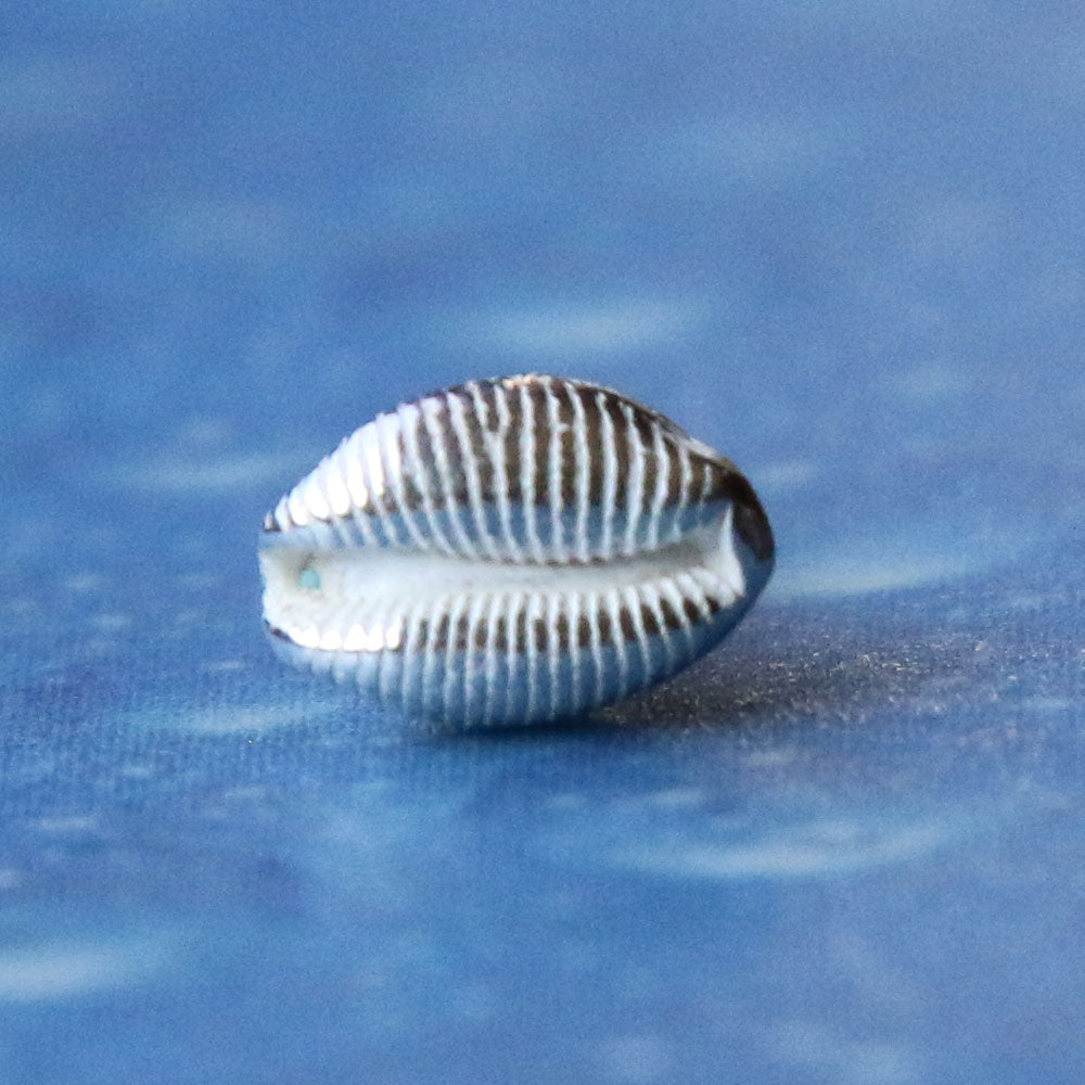 Taucherschmuck Damenschmuck Silber Kauri