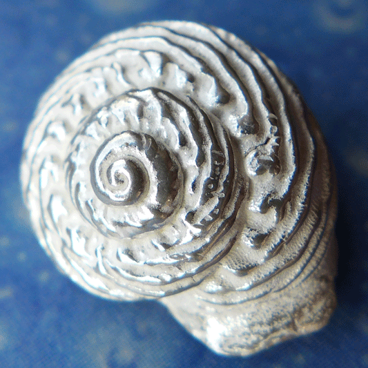 Taucherschmuck Schnecke Knotenknopf