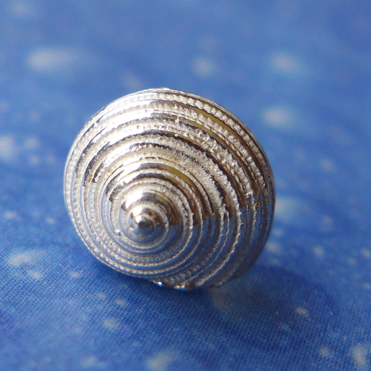 Taucherschmuck Schnecke Sonnenuhr Ohrstecker