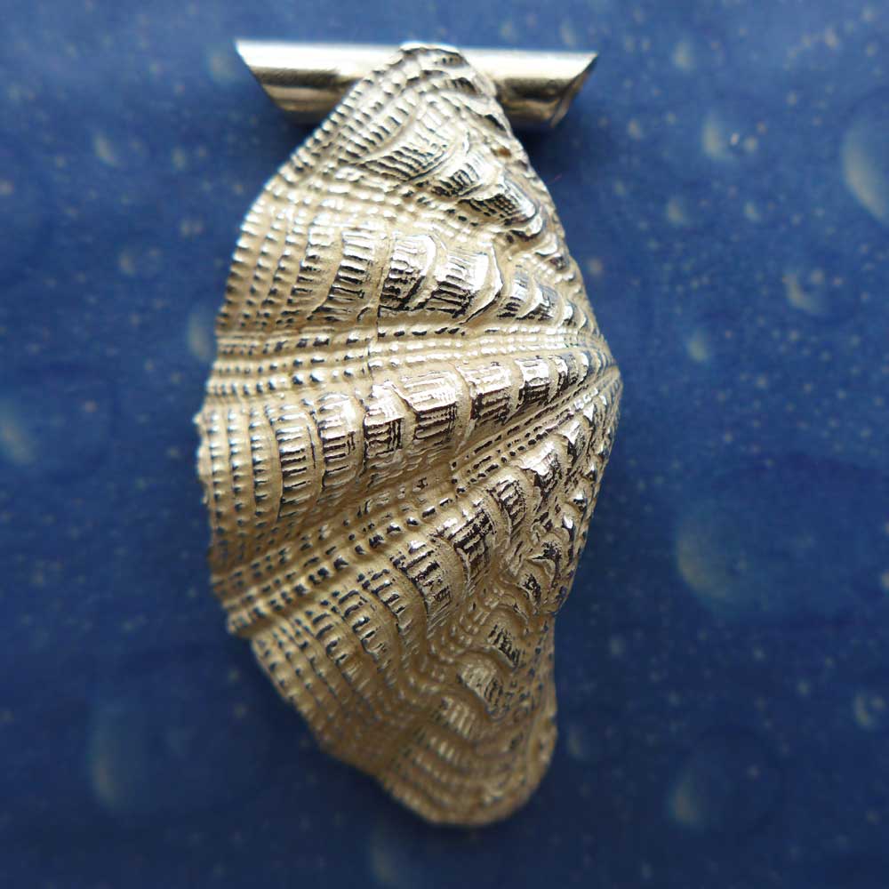 Tridacna Schmuck Silber Anhänger