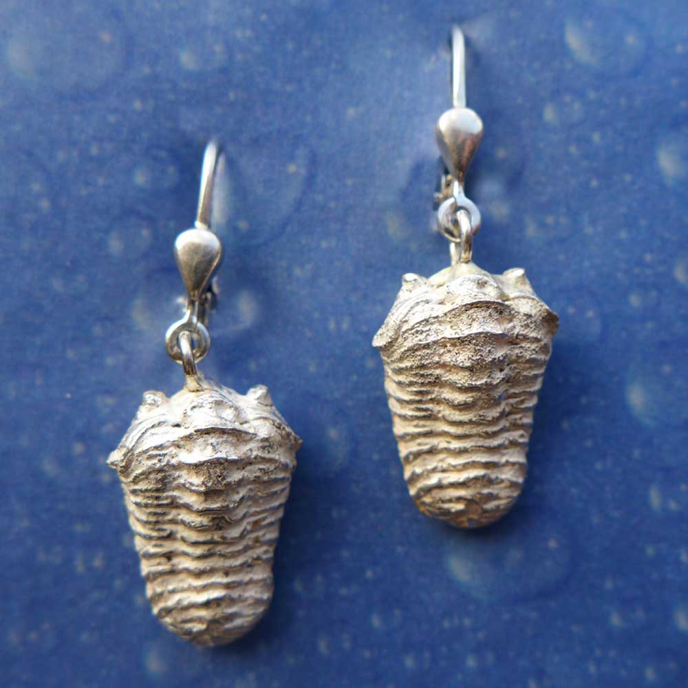 Trilobit Silber Schmuck Ohrringe