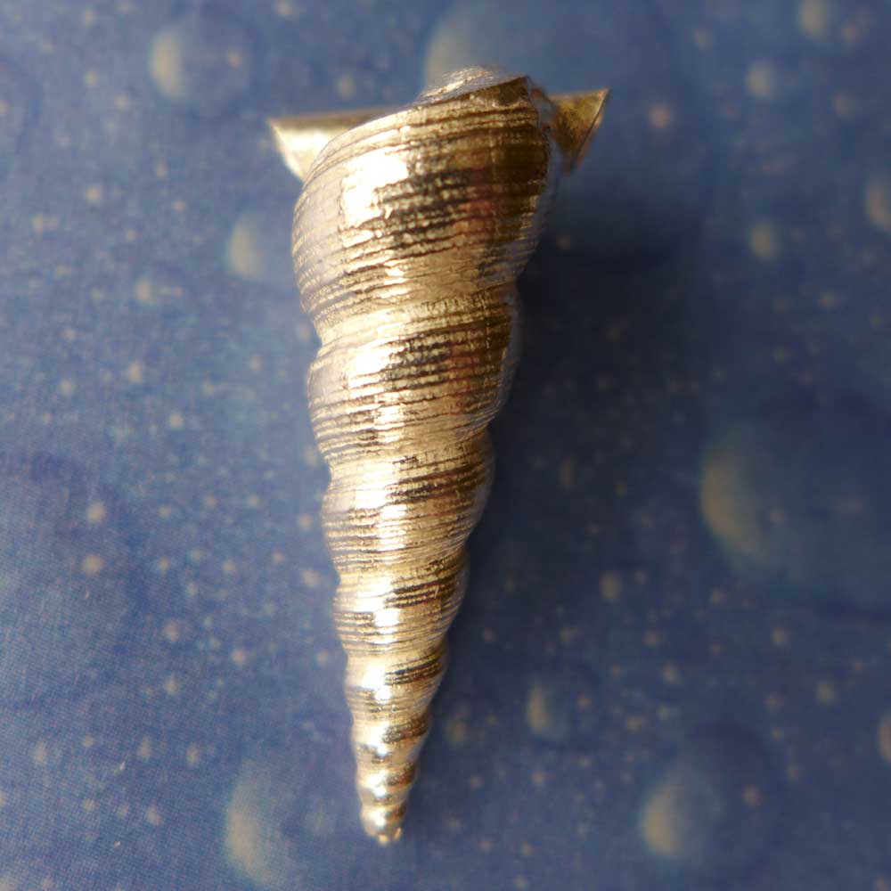 Turmschnecke Silber Anhänger Maritim