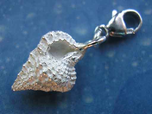 Unterwasser Schmuck Silber Tritonshorn