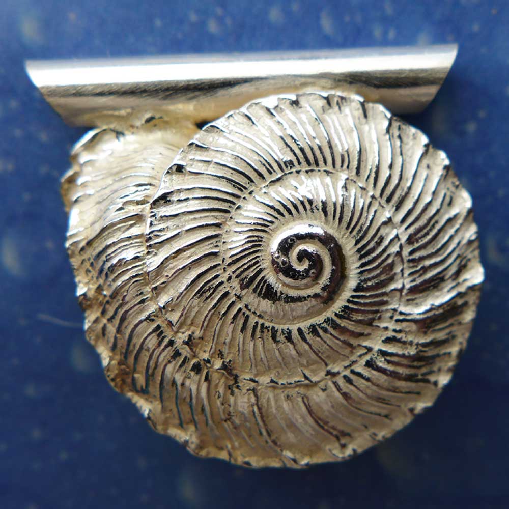 Unterwasser Schnecke Silber Sonnenrad