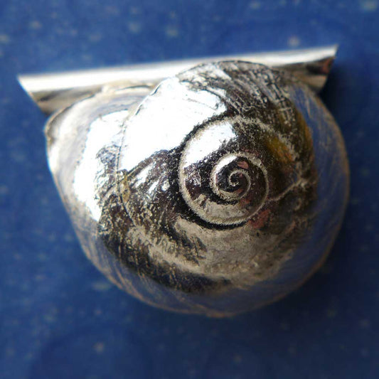 Unterwasser Schmuck Anhänger Knopfschnecke