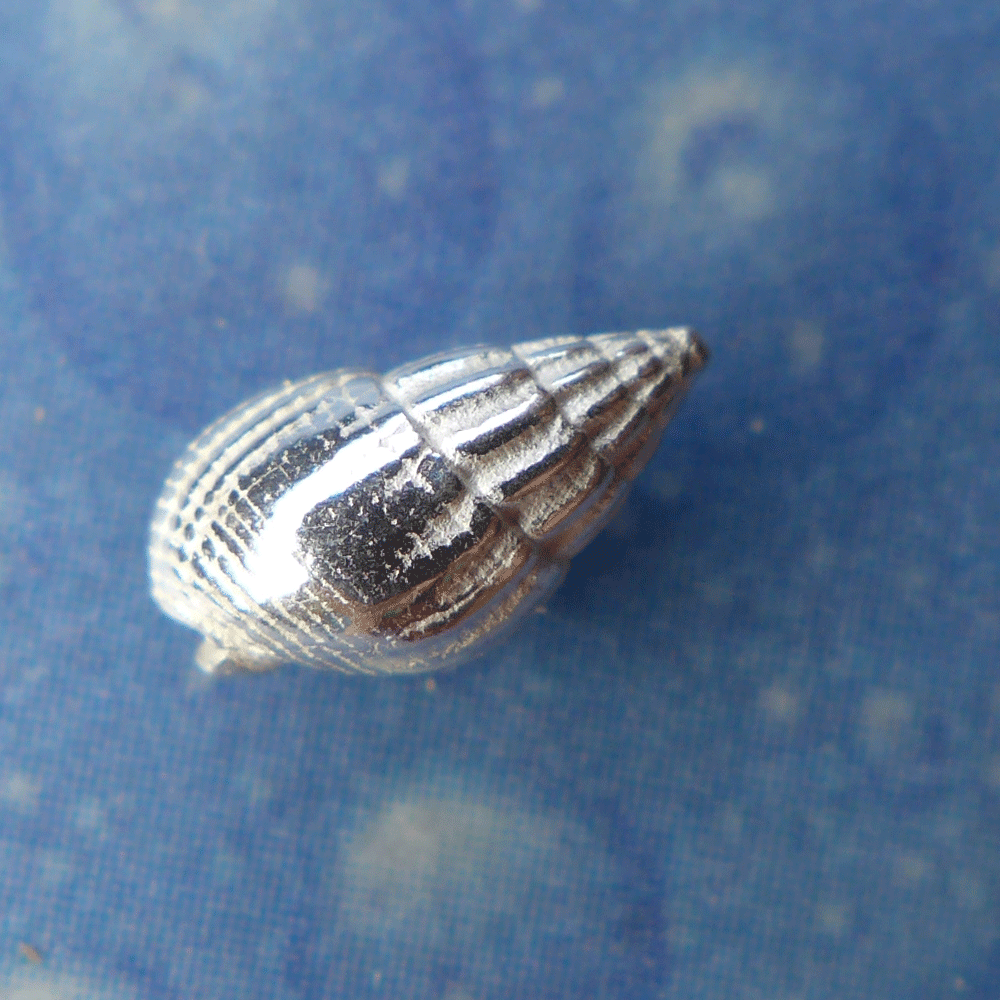 Urlaubsfeeling Ohrstecker Netzreuse xs geschwärzt